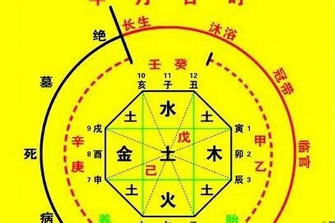 喜用神 木|八字入门基础 第六篇 如何判断八字喜用神